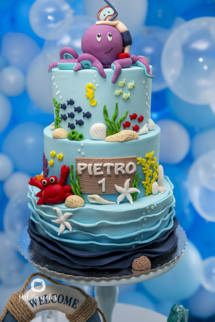 8 Pietro1ano fotografo festa infantil criança tche costa pat barcelos